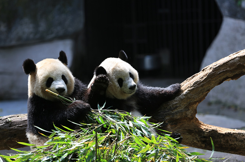 生物多样性；